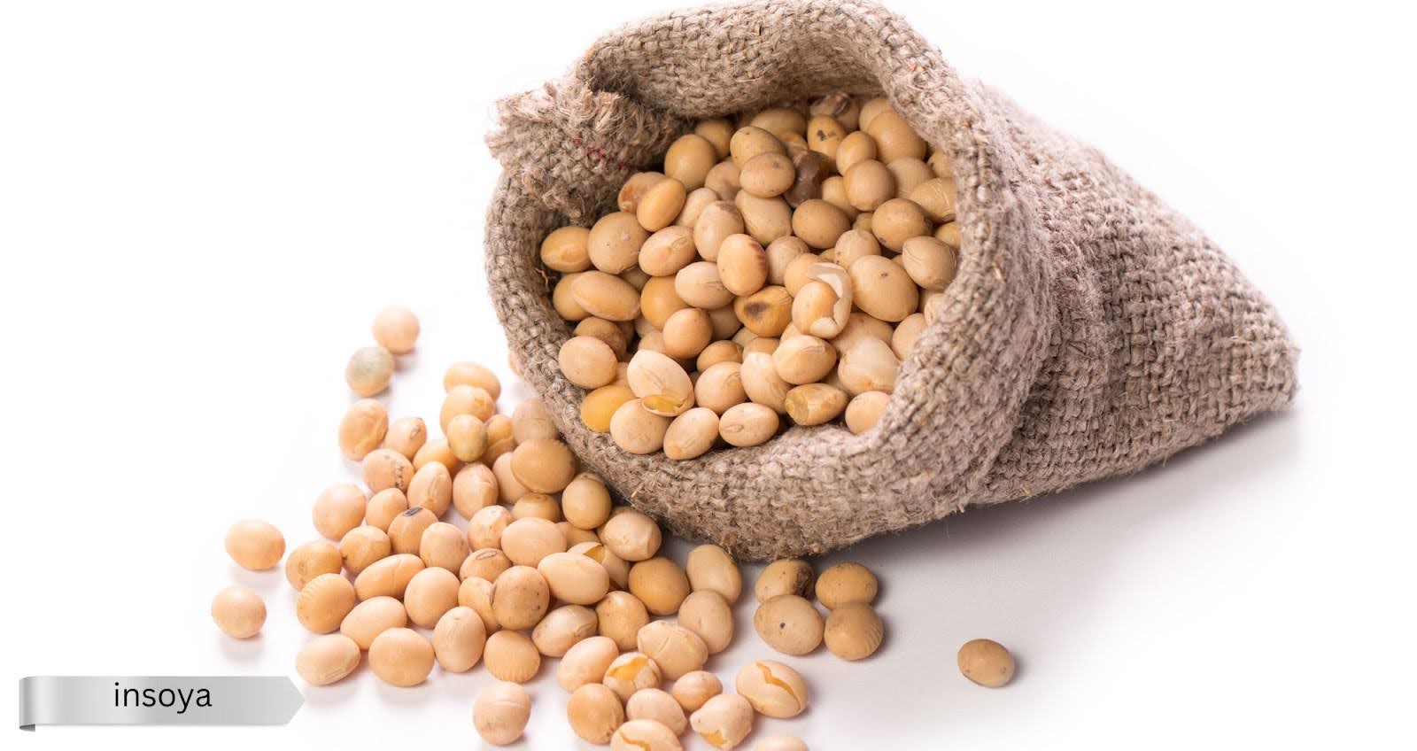 Insoya: Merging Modern Concepts with Traditional Roots Insoya