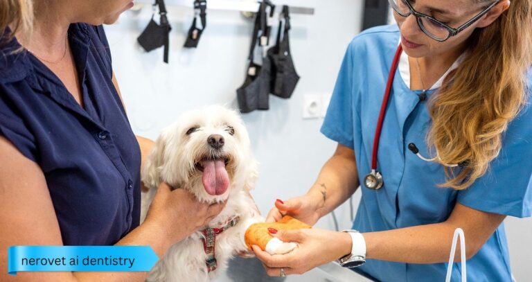 NeroVet AI Dentistry