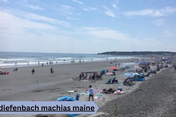 Sam Diefenbach Machias Maine | Entrepreneur & Community Leader in Machias Sam Diefenbach Machias Maine