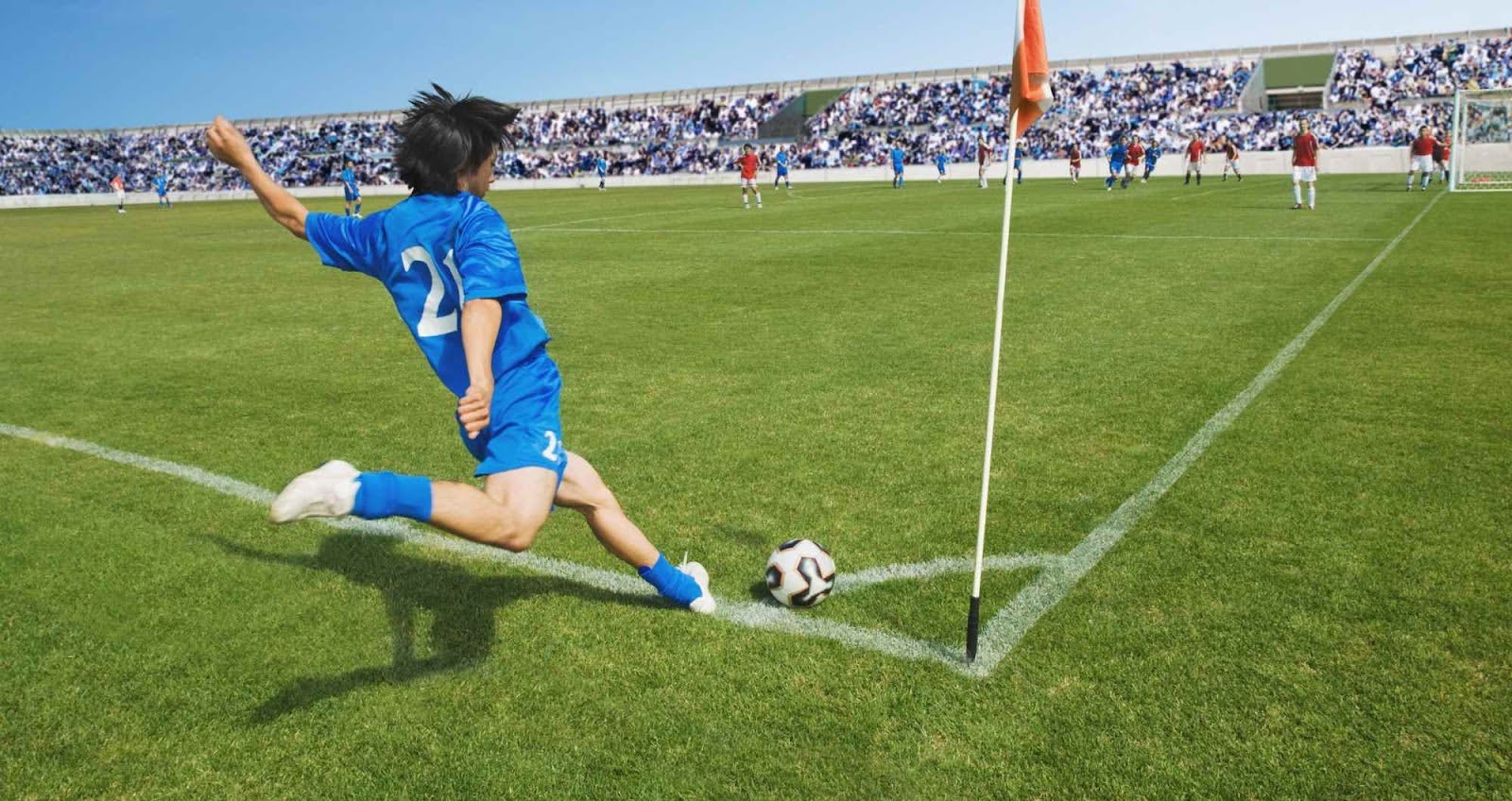 Baltimore Ravens vs New York Giants